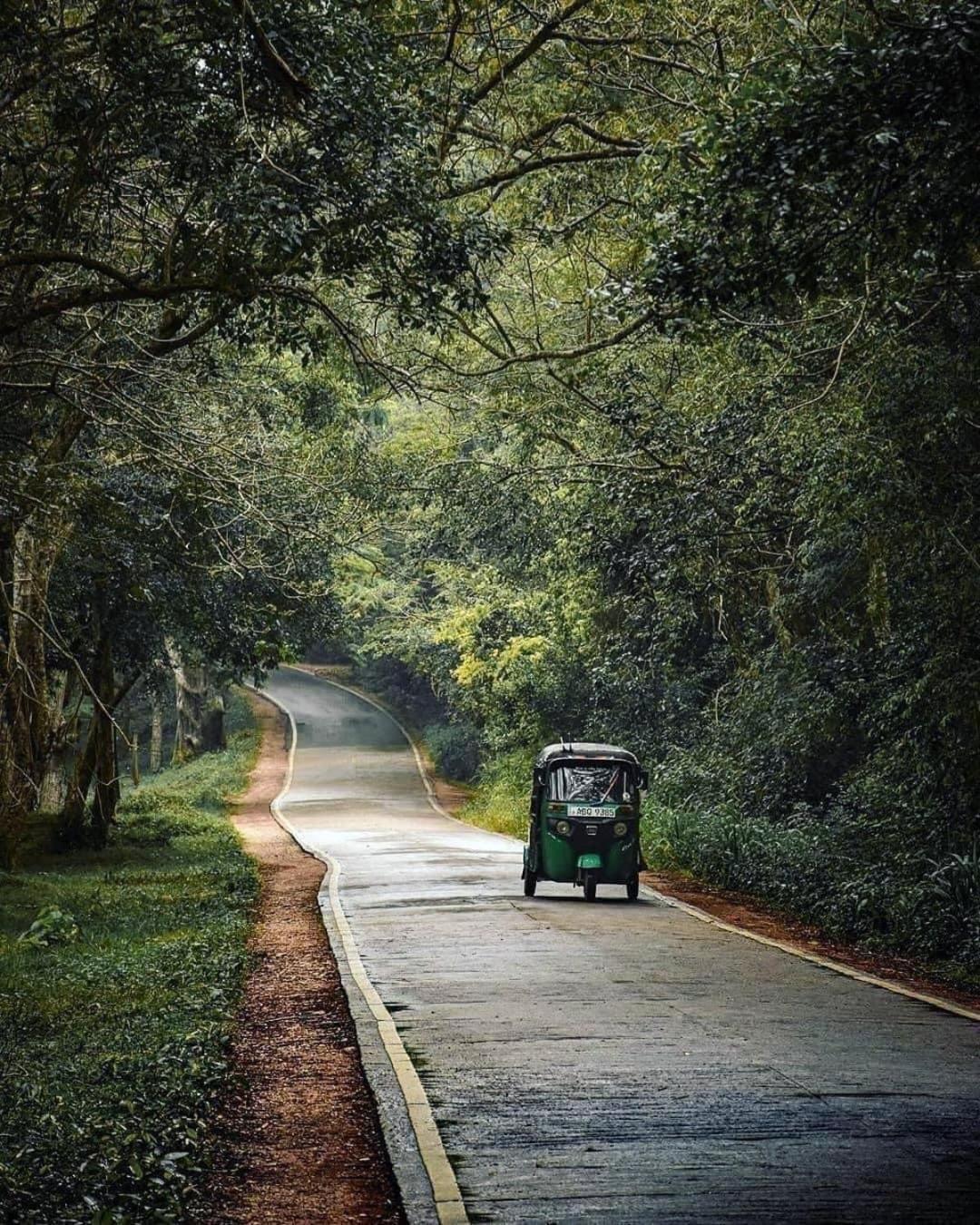 Sigiriya Village Home Stay Экстерьер фото