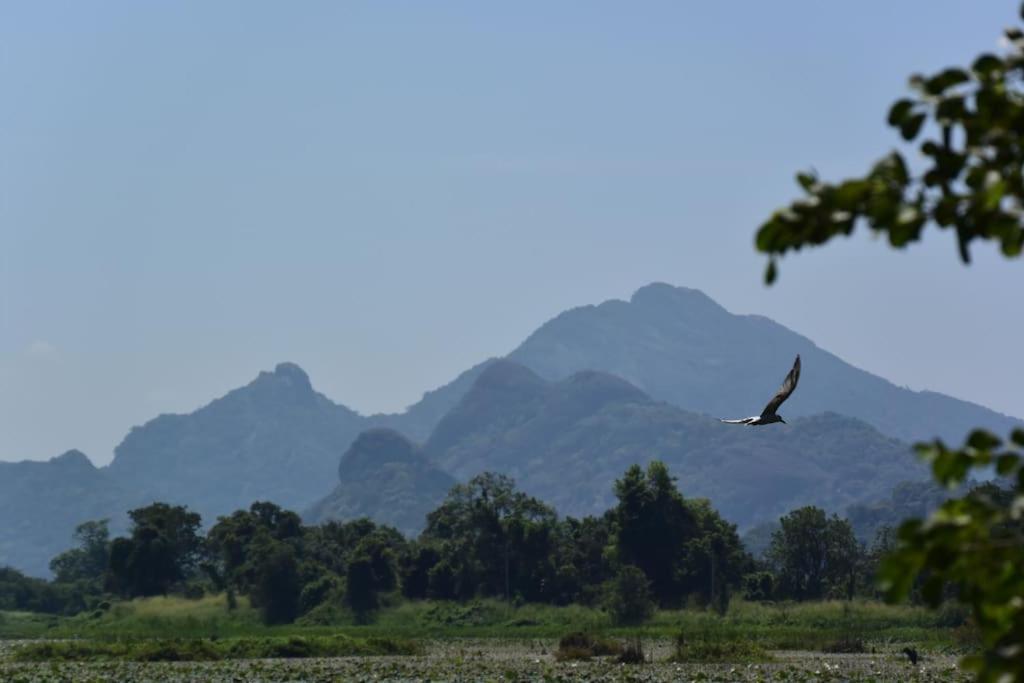 Sigiriya Village Home Stay Экстерьер фото